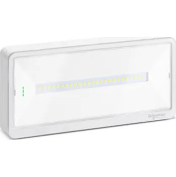 Nouzové osvětlení OVA44115 Nouzové svítidlo Exiway Light, autotest, 1 až 3 hodiny, až 500 lm, IP65, LiFePO4, LED,Schneider Electric