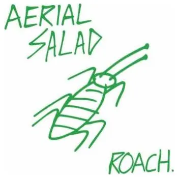 Zahraniční hudba CD Aerial Salad: Roach 2021