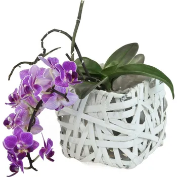 Květináč Vingo Bílý hranatý květináč z dýhy Rozměry (cm): 12x12, v. 11