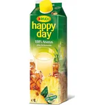 RAUCH Praha spol. s r.o. HAPPY DAY Ananas 35% 1L