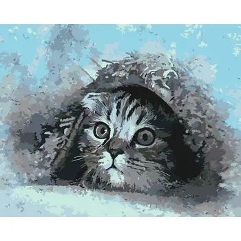 Malování podle čísel - Schované kotě Velikost: 40x50cm, Rámování: Pouze srolované plátno