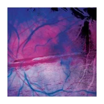 Zahraniční hudba LP Maserati: Inventions Remixes 2008