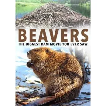 Zahraniční hudba DVD Feature Film: Beavers 2021