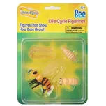 Insect Lore Životní cyklus včela