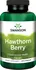 Přírodní produkt Swanson Hawthorn Berry 565 mg 250 cps.