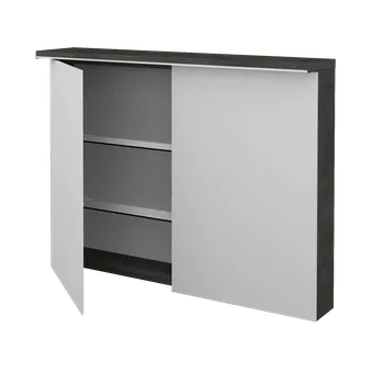 Zrcadlo DŘEVOJAS dvoudvéřová galerka s LED osvětlením ASTON GA2OE 100 Barevné provedení: D03 Cafe + doprava zdarma + při platbě převodem sleva