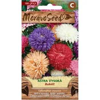 Semeno Astra čínská vysoká BUKETT, směs 00499