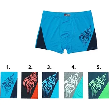 Pánské spodní prádlo Pánské trenkoslipy Pesail T0207