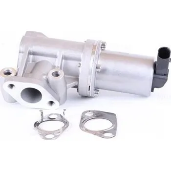 Ventil palivového systému AGR-Ventil NISSENS 98307