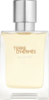 Pánský parfém Hermes Terre d'Hermès Eau Givrée M EDP