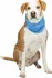 Obleček pro psa Trixie Chladící šátek PVA 28-40 cm modrý