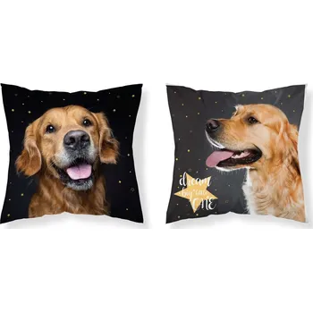 Dekorativní polštářek DETEXPOL Povlak na polštářek Pes hvězdy Polyester, 40/40 cm