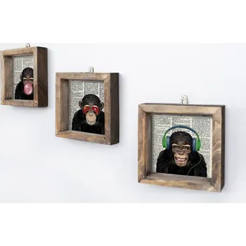 Sada obrazů Šimpanz 15x15 cm 3 ks