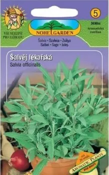 semena Nohel Garden Salvia officinalis šalvěj lékařská 20 ks