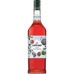 Giffard Sirup vodní meloun 1 l