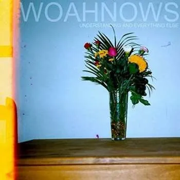 Zahraniční hudba LP Woahnows: Understanding And Everything Else 2015