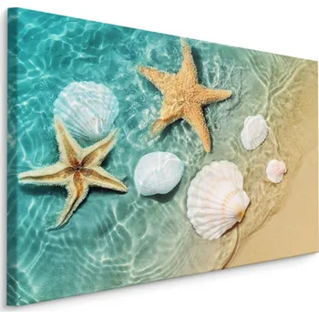 Plátno Hvězdice A Mušle V Moři Varianta: 30x20