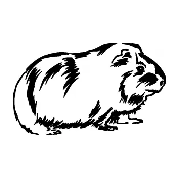 Samolepící dekorace SAMOLEPKA Morče 002 pravá (01 - černá) NA AUTO, NÁLEPKA, FÓLIE, POLEP, TUNING, VLASTNÍ TEXT, TISK, AUTOSAMOLEPKY.cz, POLEPY, OBRÁZEK, LOGO, SAMOLEPKY