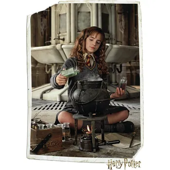 Plakát Plakát, Obraz - Harry Potter - Hermione Granger