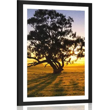 Plakát Dovido Plakát s paspartou osamělý strom při západu slunce