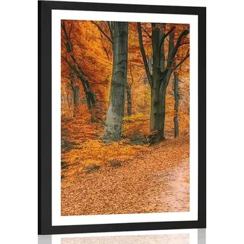 Plakát Dovido Plakát s paspartou les v podzimním období