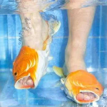 Zahraniční hudba LP Brockhoff: Sharks 2023