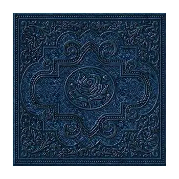 Zahraniční hudba 2LP Ryan Adams & The Cardinals: Cold Roses 2005