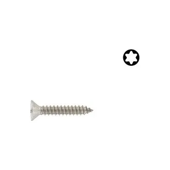 Vrut Šroub DIN 7982C nerez A2 4,2x9,5 Torx 10ks