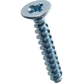 Šroub Šroub do termoplastů ECOSYN-PLAST s křížovou drážkou zápustná hlava 2,5x14 BN 82427 ZB