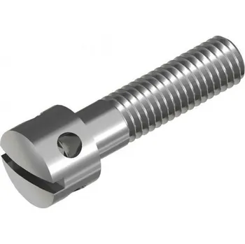 Spojovací materiál Šroub s drážkou a dírami DIN 404 plombovací M5x16 DIN 404 ZB