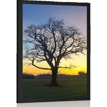Plakát Dovido Plakát okouzlující strom