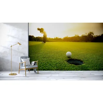 Tapeta Malvis ® Tapeta Míček v jamce Vel. (šířka x výška): 288 x 200 cm