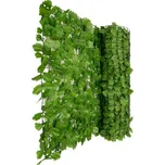 Greeny Umělý živý plot břečťan světlý…