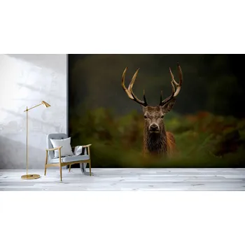 Fototapeta Malvis ® Tapeta Jelen v dešti Vel. (šířka x výška): 144 x 105 cm