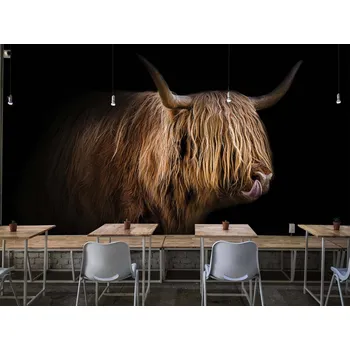 Malvis ® Tapeta Highland Cattle Vel. (šířka x výška): 360 x 260 cm