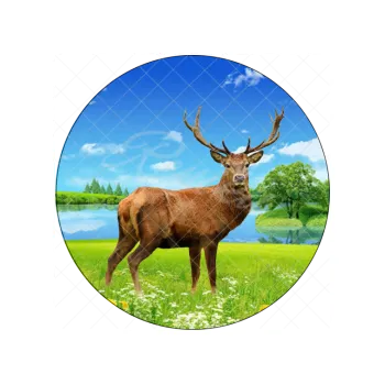 Jedlá dekorace na dort JELEN na louce, VARIANTA Jedlý papír 1545