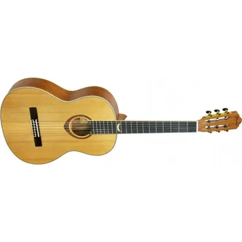 Kytara Gilmour Classic