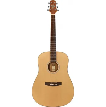Akustická kytara Ashton D20 NTM