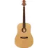 Akustická kytara Ashton D20 NTM