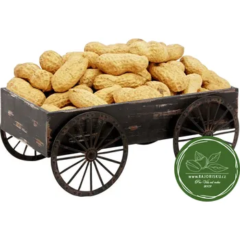 Buráky - Arašídy neloupené taška 1kg