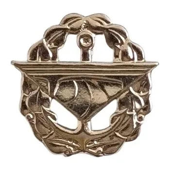 ARMÁDNÍ ORIGINÁL AČR Odznak rozlišovací AČR silniční vojsko stříbrný originál