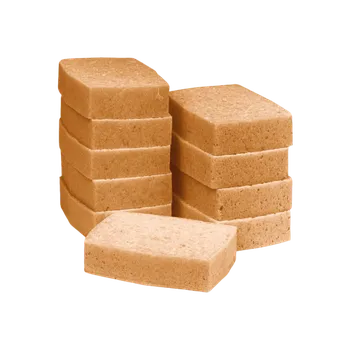 COLAD houba lakýrnická