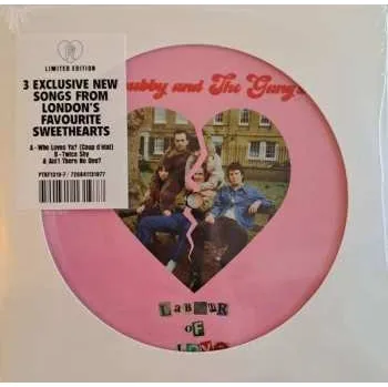 Zahraniční hudba SP Chubby & The Gang: Labour Of Love LTD | PIC 2022 Picture Disc Limited Edition Vinyl