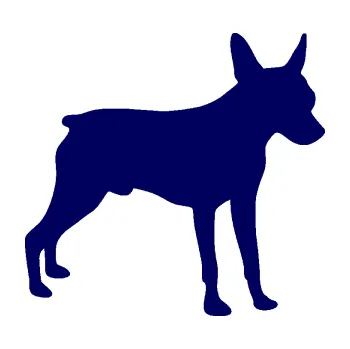 Polep vozidla SAMOLEPKA NA AUTO Pes 178 pravá pražský krysařík (23 - tmavě modrá) NÁLEPKA, FÓLIE, POLEP, TUNING, VLASTNÍ TEXT, TISK, AUTOSAMOLEPKY.cz, POLEPY, OBRÁZEK, LOGO, SAMOLEPKY