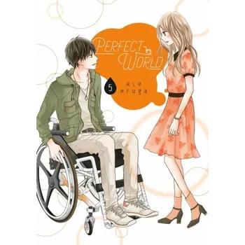 Kniha Perfect World 5 - Aruga, Rie
