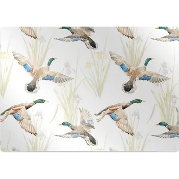 Podložka pod nábytek Podložka pod kolečkovou židli Kachny