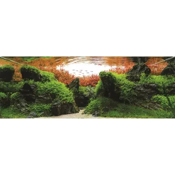 Náročný Set akvarijních rostlin pro akvárium do 80 litrů (verze B)