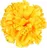 Nohel Garden Karafiát květ 9 cm, žlutý