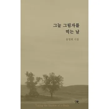 Kniha Taking the Shadow of a Shade – Myung Hee Song (KO)