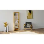 ASIR Knihovna NEW dub